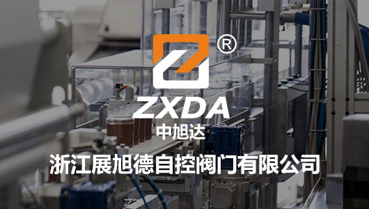 浙江展旭德自控阀门有限公司